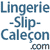 Linegrie slip calecon