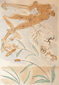 SALVADOR DALI : Exposition vente de 200 œuvres majeures
